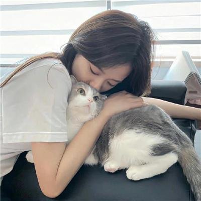 王室绯闻守则
